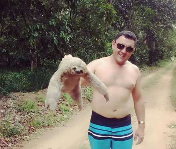 Também ajudei um bicho preguiça, diz leitor