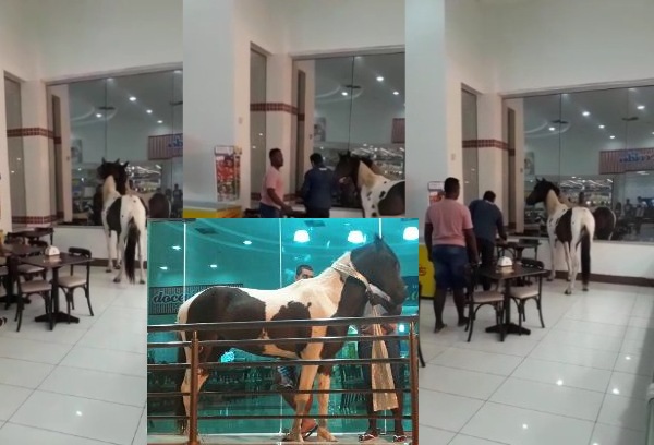 Vídeo: Cavalo invade praça de alimentação de hipermercado em Linhares