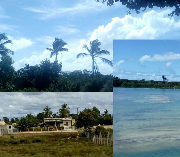 Litoral: Festa com programação gratuita vai movimentar Barra Seca