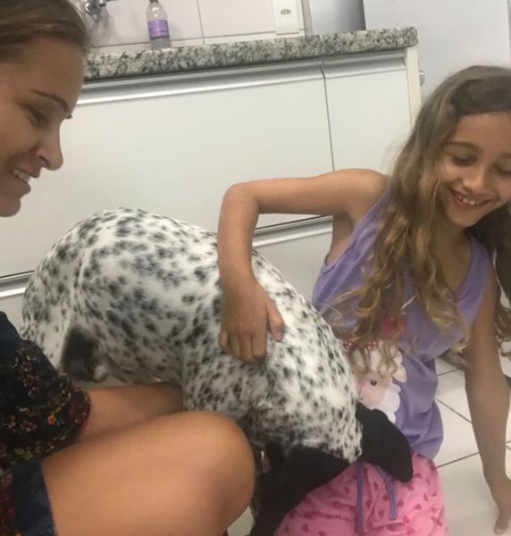 Ele apareceu! Olaf estava do outro lado da cidade
