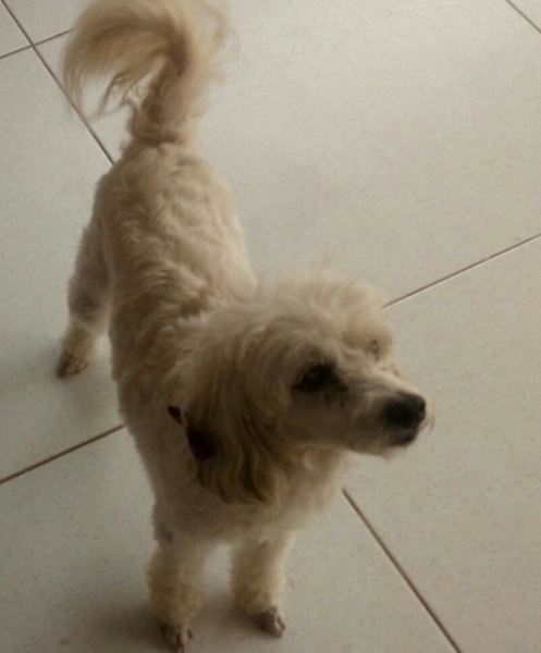 Olha quem apareceu também!