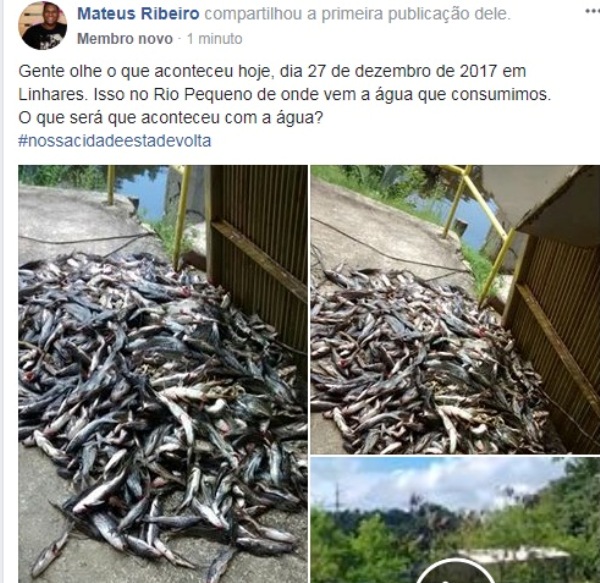 Cena de peixes mortos em captação de água no Rio Pequeno assusta moradores de Linhares