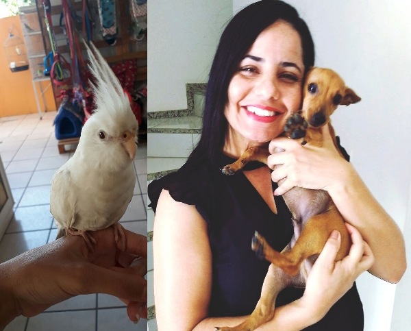 Alegria em dose dupla! Snow e Zangado de volta ao lar