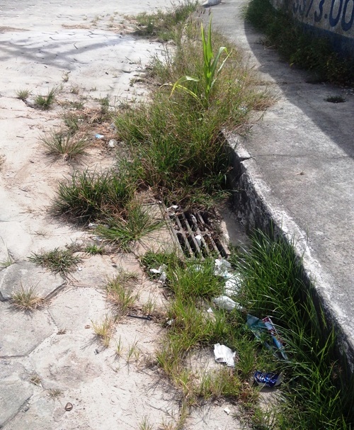 Morador diz: mato toma conta de esquina no Lagoa do Meio