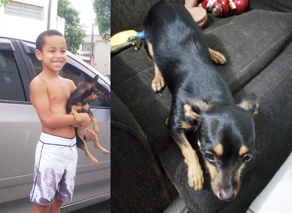 Garotinho de 7 anos pede ajuda para encontrar Snow. Tem recompensa