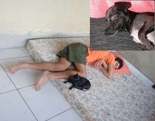 Urgente: Enfermeira Pet desaparece e donos pedem ajuda aos internautas