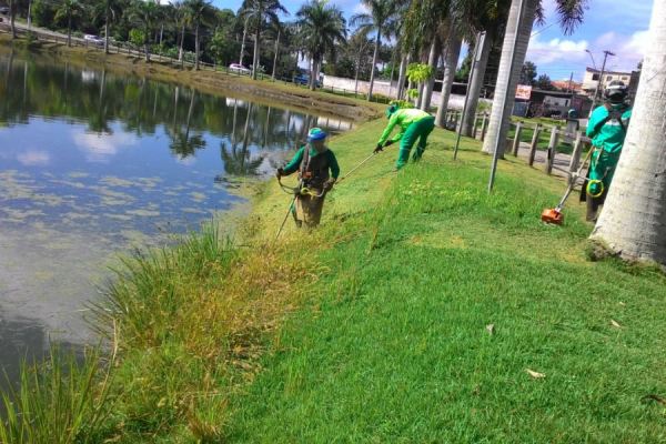 Lagoa do Meio: Limpeza na Linha Verde 