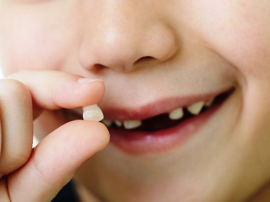 Sabia? Células tronco do dente de leite podem assegurar uma vida mais longa e saudável