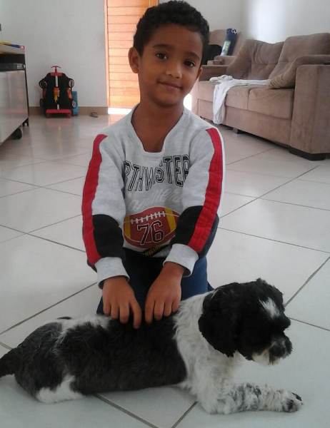 Garotinho pede ajuda para encontrar Bob