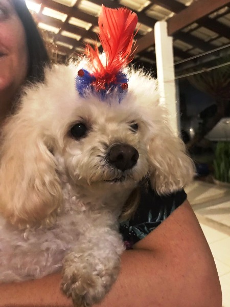 Recompensa para quem encontrar Hanna. É urgente