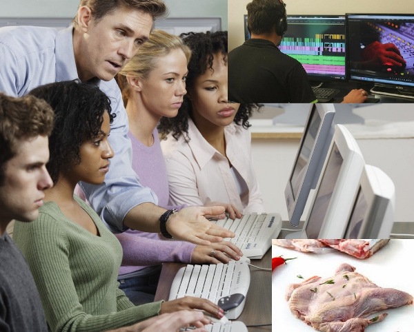 De graça: Aprenda culinária, informática, vendas e desenvolvimento 