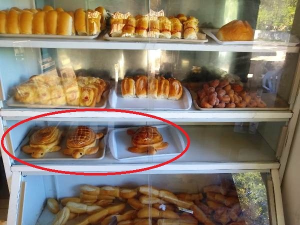 Novidade em Regência: Pão chama a atenção de moradores e turistas