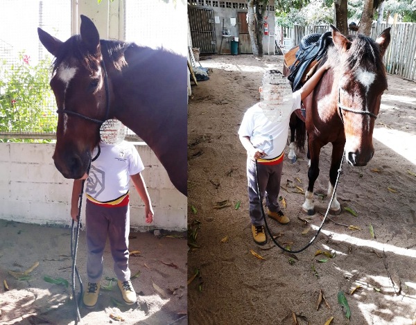 Brinquedo desaparece da Pestalozzi e alunos estão sem equoterapia