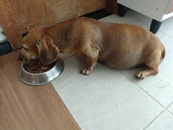 Olha quem apareceu após manchete no 