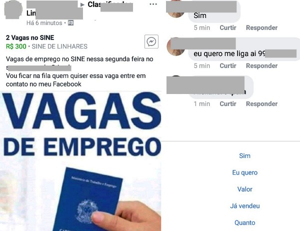 Mais de 200 empregos diretos: 