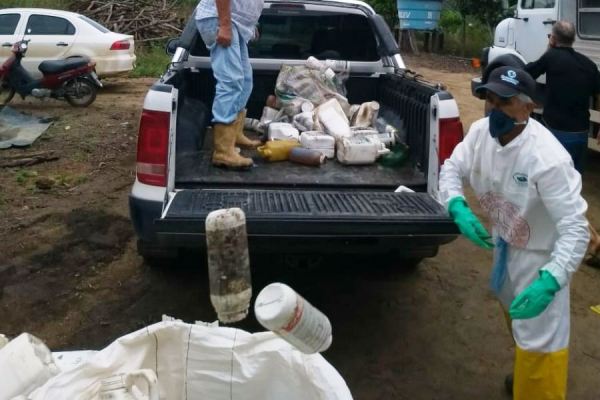 Meio Ambiente: Quase 2 mil embalagens de defensivos agrícolas recolhidas em Linhares