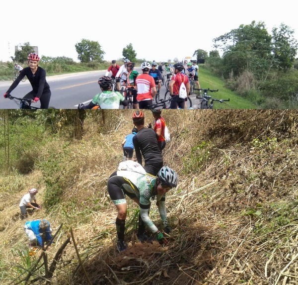 Mais de 250 ciclistas de Linhares plantam árvores em passeio de 120 km de trajeto