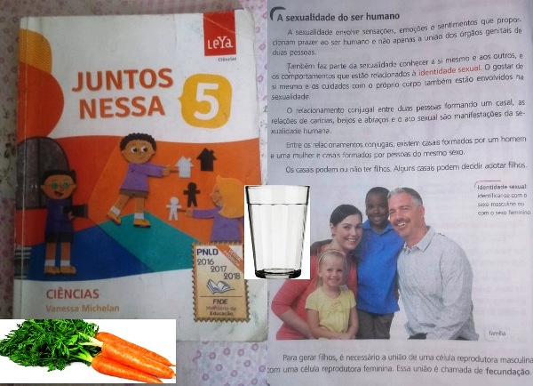 Simulação para explicar sexualidade é contestada por mãe de aluna de escola no Interlagos