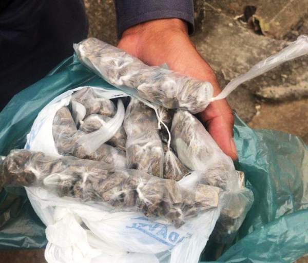 PM de parabéns! FT impede comércio de quase 150 buchas de maconha
