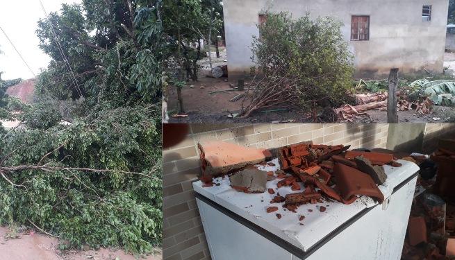 Temporal: Casas destelhadas, muros e árvores caídos, e falta água e luz no Humaitá. Vídeo