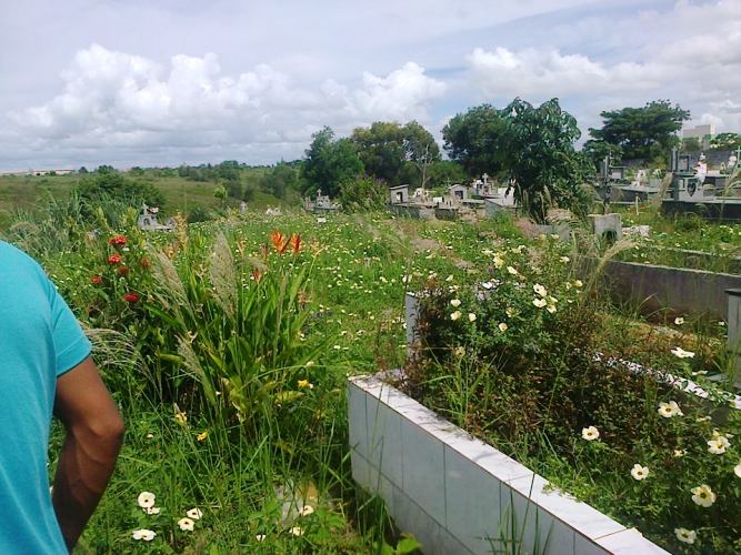 Mato: internauta fotografa condições de cemitério após sepultamento de amiga