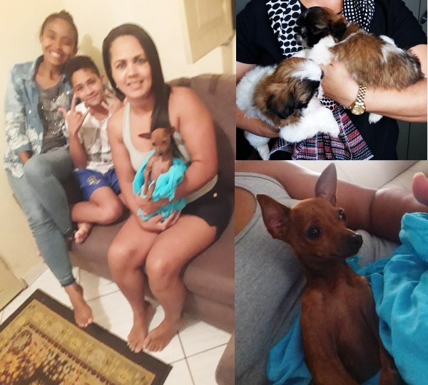 Felicidade: Eles e ela foram encontrados após divulgação no Au, Au, Miau