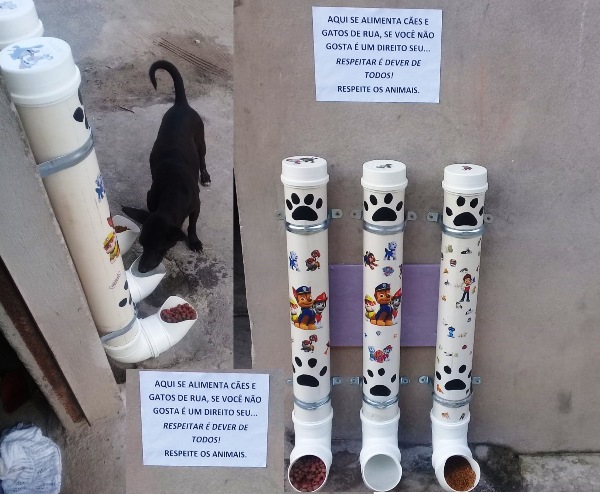 No muro: Voluntária implanta comedouro para animais de rua em Linhares