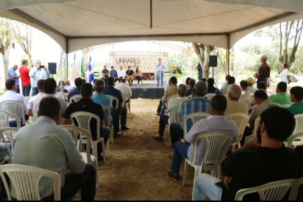 Saiba quem venceu o Concurso de Qualidade do Café de Linhares
