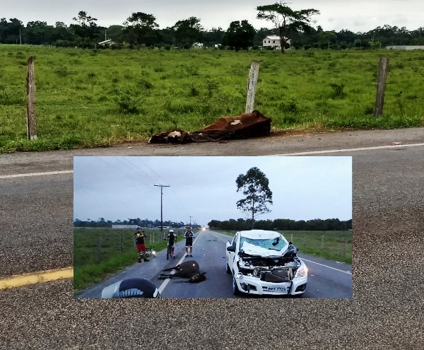 Corpo de cavalo morto em acidente continua na Estrada do Pontal