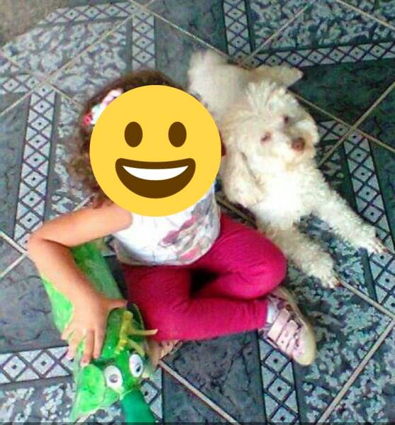 Quem viu o Billy? Tem recompensa para quem encontrá-lo