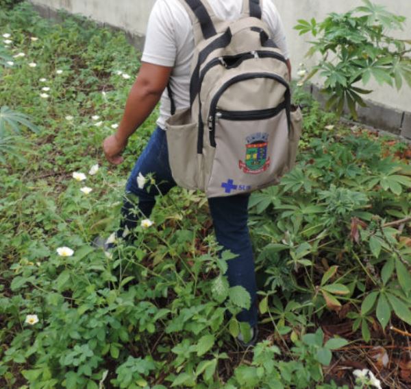 Verão: Reforço no combate à dengue no Pontal do Ipiranga