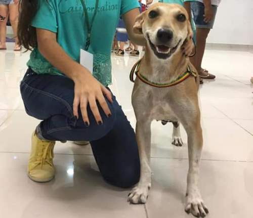 S.O.S: Malu se desespera por falta dos filhos,foge e Aipa pede ajuda para encontrá-la