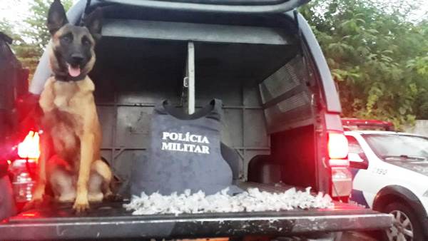 PM: Veja a quantidade de droga que sem o auxílio de cães não seria encontrada