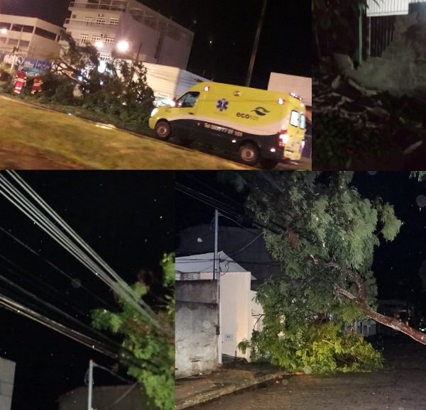 Temporal destelha casas, derruba árvores, muros e causa acidentes em Linhares