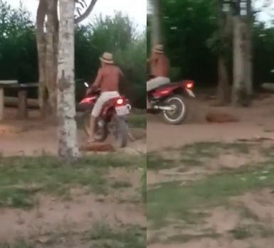 Delegado indicia homem que arrastou cachorra em moto, em Linhares