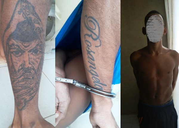 Centro de Linhares: Timão se esconde e é encontrado debaixo da cama