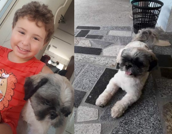 Garotinho volta a sorrir: Olha só quem apareceu!
