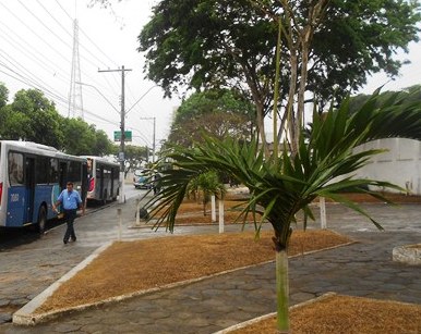 Bandidos assaltam jovem perto do Cemitério Conceição, Centro de Linhares