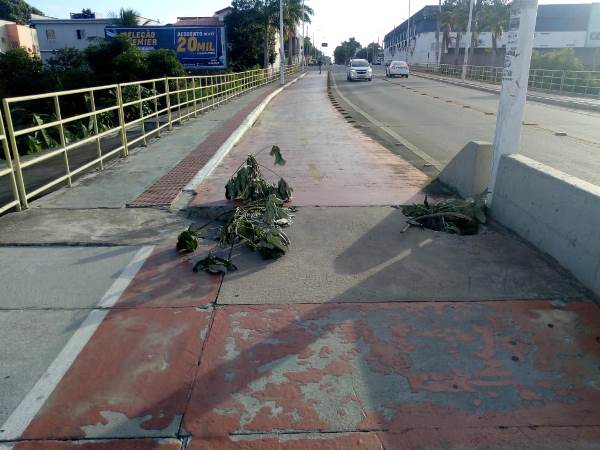 Morador do Interlagos mostra situação de ciclovia na 'Ponte Nova'