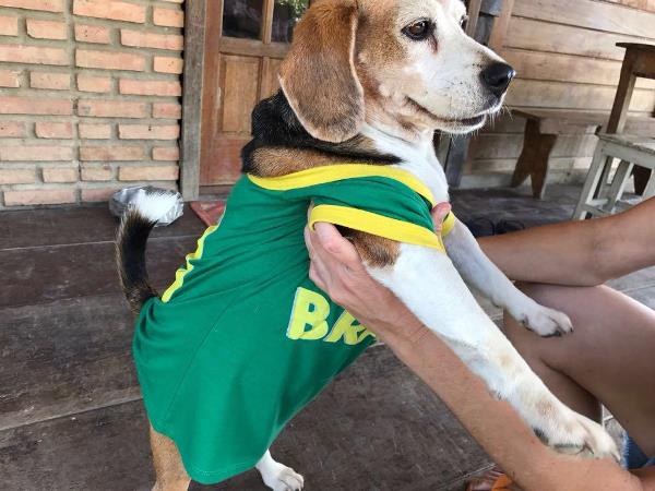 Olívia fugiu: Ela toma remédio controlado e pode morrer se não for encontrada logo