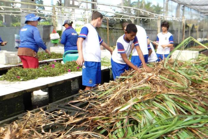 Estudantes de Linhares criam Projeto de Lei com estratégia de combate à dengue 