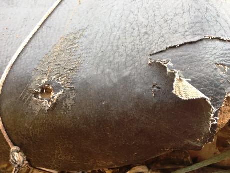 Dono de cachorro castrado sem anestesia sofre atentado e foge com a família