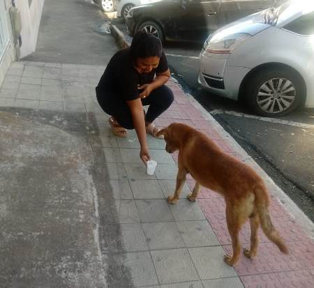 Bondade, diz leitora ao enviar foto que fez no Centro de Linhares