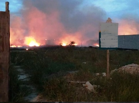 Fogo em vegetação no Residencial Perobas. É bom que mata escorpiões, diz morador