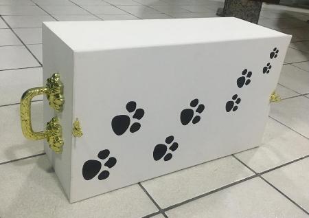 Funerária de Linhares tem urnas para animais de estimação
