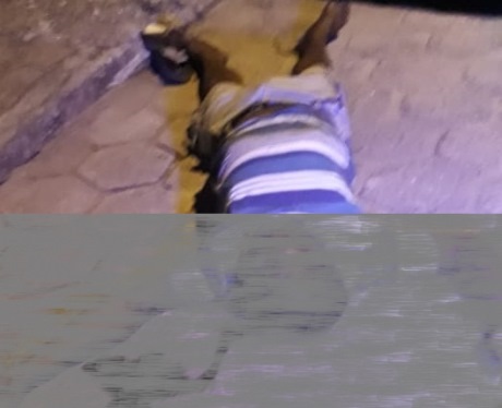 Homem é morto a pauladas no são José
