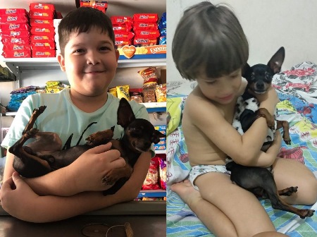 Recompensa: Irmãos pedem ajuda para encontrar Bobi que fugiu no Interlagos