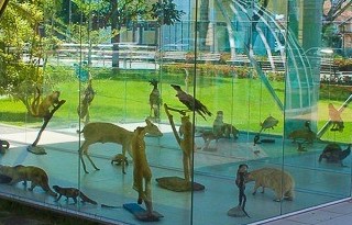 Amanhã: Exposição promete atrair olhares no Centro de Linhares