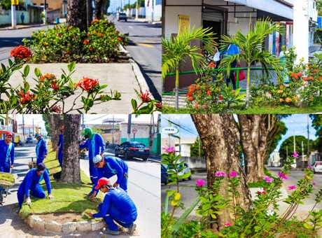 Registro: Grama e flores mudam paisagem em Avenidas de Linhares
