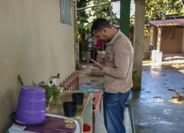 Armadilhas para captura do Aedes aegypti em Linhares